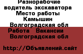 Разнорабочие, водитель экскаватора › Место работы ­ Камышин - Волгоградская обл. Работа » Вакансии   . Волгоградская обл.